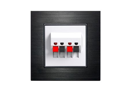 سوکت اسپیکر دوتایی Double Speaker Socket برند Interra